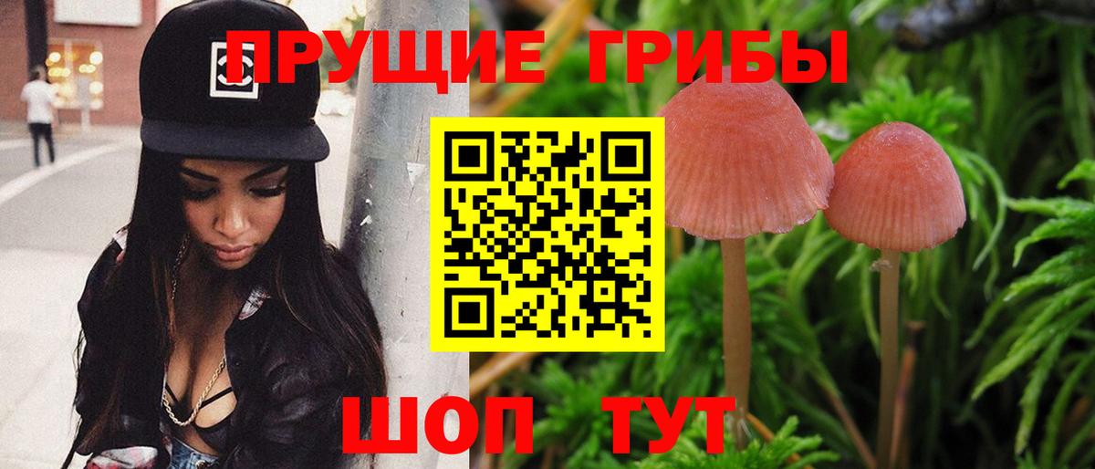Галлюциногенные грибы Cubensis  Вход с VPN  Псилоцибиновые грибы Psilocybe  Верхняя Салда 