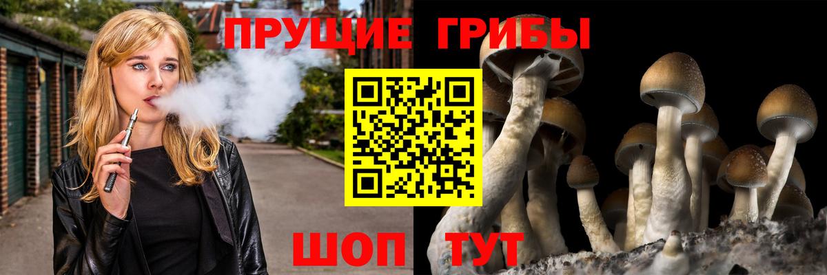 Галлюциногенные грибы Magic Shrooms Верхняя Салда
